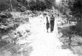 Mrs. Nell Climie Crossing the Walkway Swingbridge across the Waitawheta River.